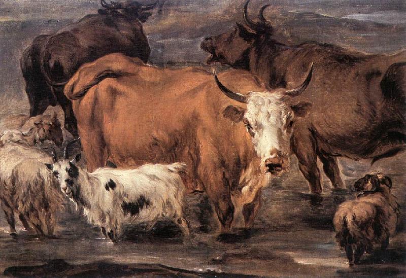 BERCHEM, Nicolaes Animal Study dd